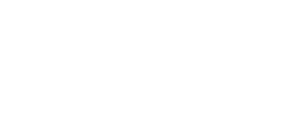 wsbmerito logo